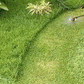 👨‍🌾Ersatzkopf für Fadentrimmer💪 – auch bei Kontakt mit Beton/Felsen/harten Blöcken unbeschädigt, lange Lebensdauer garantiert🌿