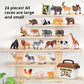 🦖 50 % sparen! 🌍 28 realistische Tiermodelle – entdecke die fantastische Tierwelt ✨