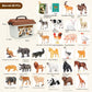 🦖 50 % sparen! 🌍 28 realistische Tiermodelle – entdecke die fantastische Tierwelt ✨