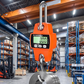⏳Nur für kurze Zeit – 50% RABATT⏰Digitale Hängewaage mit 500 kg Tragkraft