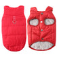 🐶 50% RABATT! ❄️ Hunde-Winterweste – Fleecefutter, winddicht & mit Anlein-Ring ✨