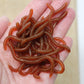 🎣 50% RABATT!✨Weichköder Regenwurm – Garnelenduft, 50/100er Pack