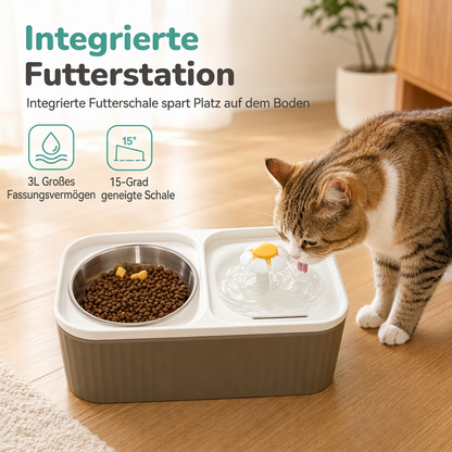 ⏳Nur für kurze Zeit – 50% RABATT⏰2-in-1 automatischer Katzenfutter- und Wasserspender mit großem Fassungsvermögen – blumenförmiger Heimtier-Wasserspender mit doppelten Näpfen