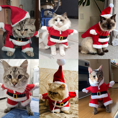 ⏳Nur für kurze Zeit – 50% RABATT⏰Herbst- und Winter-Weihnachtskleidung für Katzen und Hunde