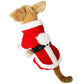 ⏳Nur für kurze Zeit – 50% RABATT⏰Herbst- und Winter-Weihnachtskleidung für Katzen und Hunde